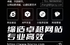 星誠視野、北京網(wǎng)絡(luò)公司、北京高端網(wǎng)站建設(shè)、北京企業(yè)網(wǎng)站建設(shè)